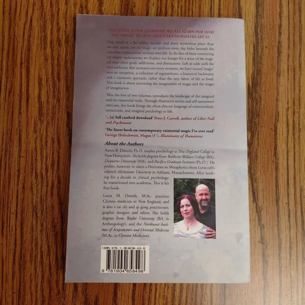 IMAGINAL REALITY (VOLUME 1) By Aaron B. Daniels & Laura M. Daniels Paperback - Picture 2 of 3